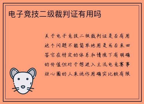 电子竞技二级裁判证有用吗